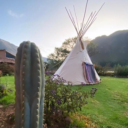 Sonqo Andino Hospedaje Medicina Pisac Dış mekan fotoğraf