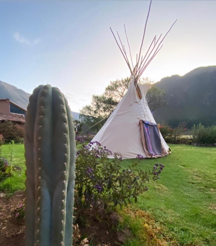 Sonqo Andino Hospedaje Medicina Pisac Dış mekan fotoğraf